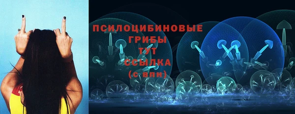 МДПВ Алзамай