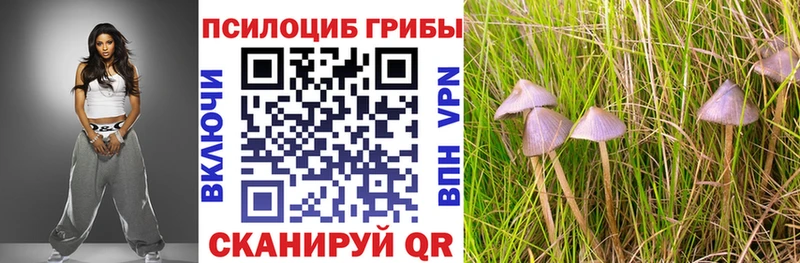 Купить  Семёнов  Галлюциногенные грибы Psilocybe 